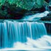 About Mikvah