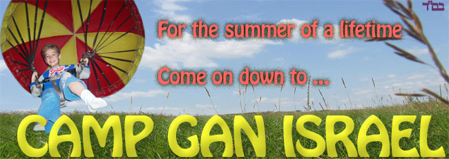 sgi-promo.jpg