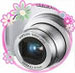 Pictures