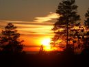 Shabbat Weekend Retreat